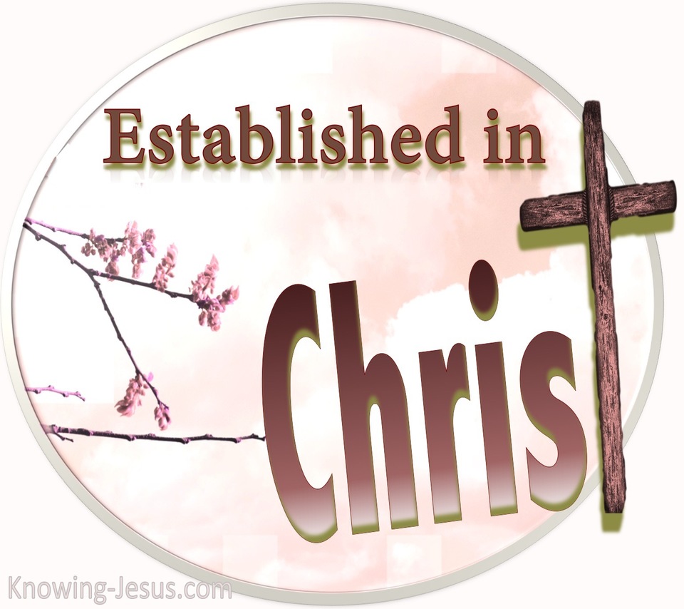 Colossians 2:7 Established in CHRIST (pink)